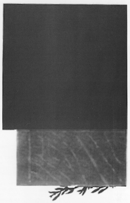 לארי אברמסון, צירופי מקרים, 1990. שמן על נייר, 75/105 ס"מ
