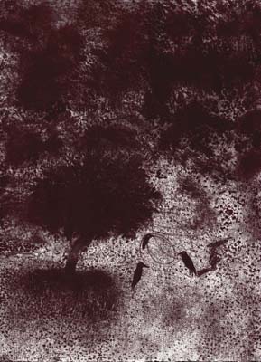 יאן ראוכוורגר, תצריב. מתוך תיק אמן "נופים מפה", 2002