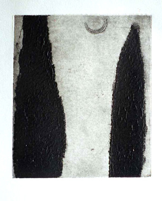 יאן ראוכוורגר, תצריב. מתוך תיק אמן "נופים מפה", 2002